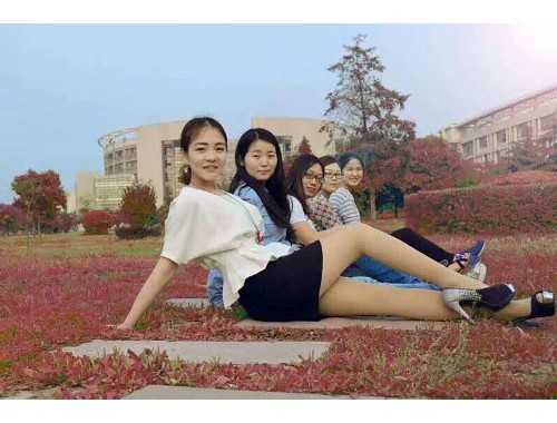 午夜视频免费试看:游戏与视频的完美结合,带你畅游娱乐新世界
